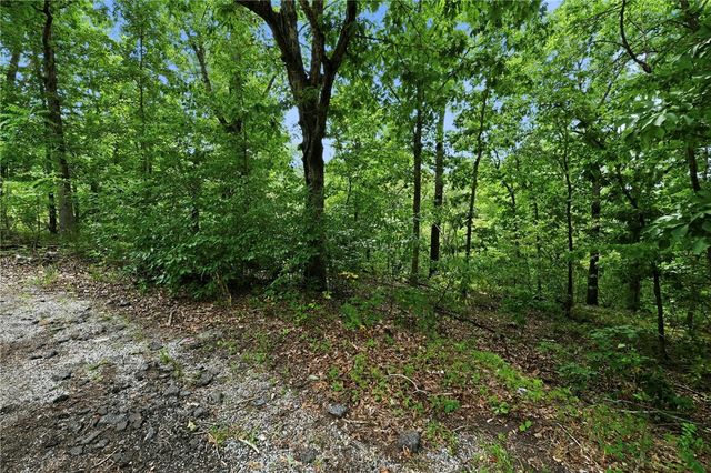 Lot 20 Epping Drive, Bella Vista, AR 72714