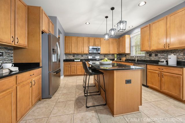 13905 Trillium Lane, Plainfield, IL 60544