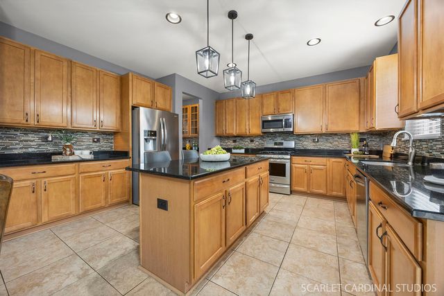 13905 Trillium Lane, Plainfield, IL 60544