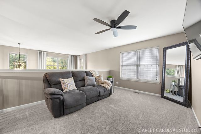 13905 Trillium Lane, Plainfield, IL 60544