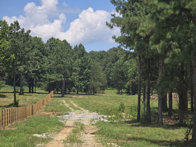 4869 Kedron Rd, Spring Hill, TN 37174