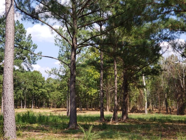 4869 Kedron Rd, Spring Hill, TN 37174