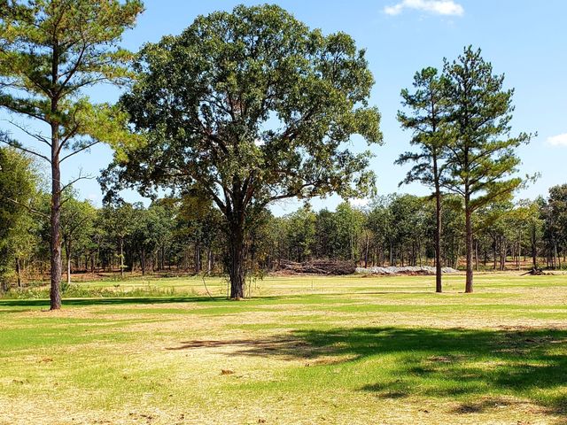 4869 Kedron Rd, Spring Hill, TN 37174