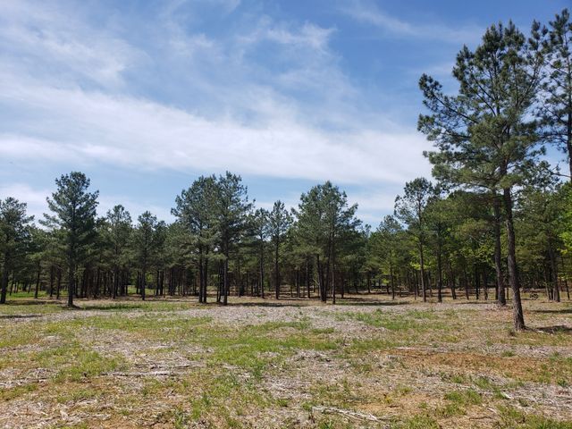 4869 Kedron Rd, Spring Hill, TN 37174