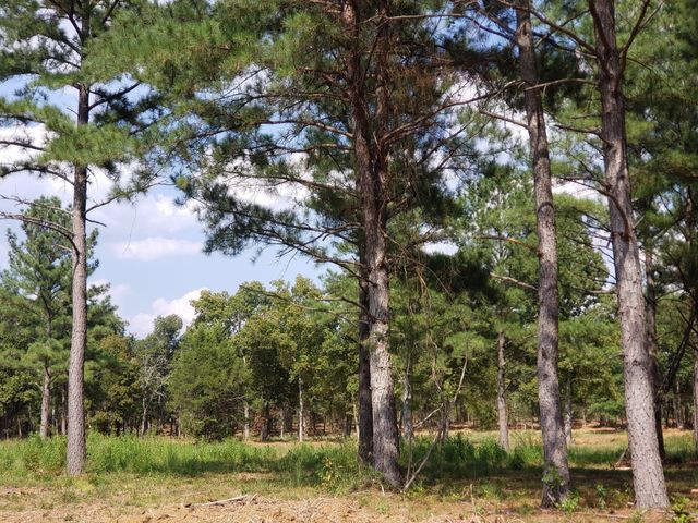 4869 Kedron Rd, Spring Hill, TN 37174