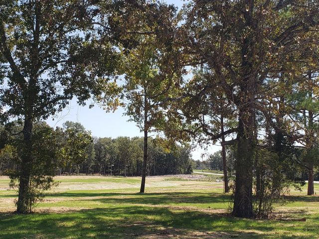 4869 Kedron Rd, Spring Hill, TN 37174