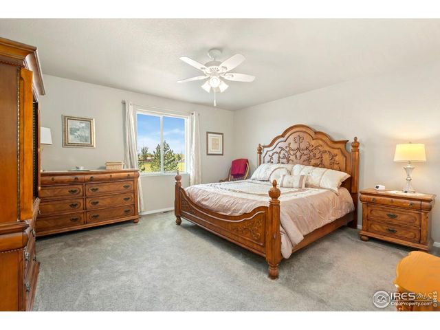 3603 Ronald Reagan Ave, Wellington, CO 80549