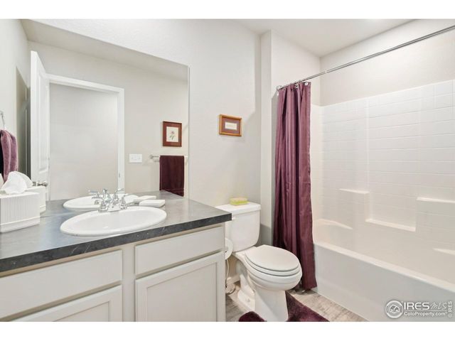 3603 Ronald Reagan Ave, Wellington, CO 80549