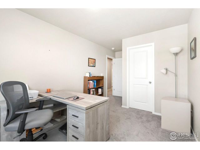 3603 Ronald Reagan Ave, Wellington, CO 80549