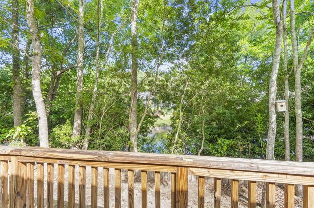 1677 Lauda Drive, Mount Pleasant, SC 29464