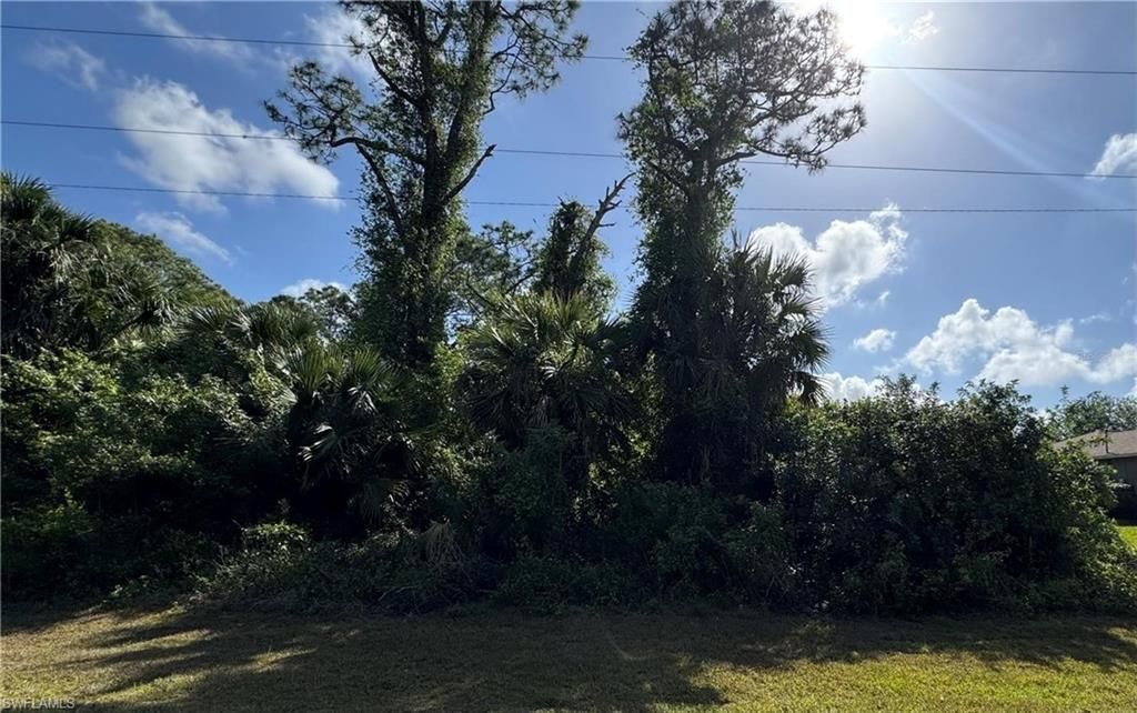 453 Lampion AVE S, LEHIGH ACRES, FL 33974 — photo 2
