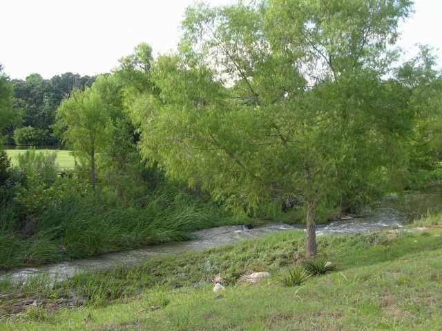 1 Chandon LN, Lakeway, TX 78734
