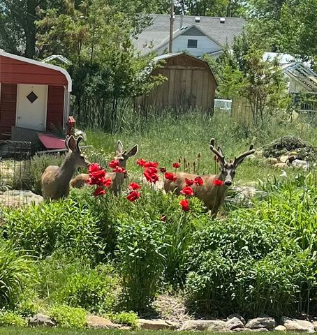 430 E 100 N, Mt Pleasant, UT 84647