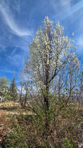 430 E 100 N, Mt Pleasant, UT 84647