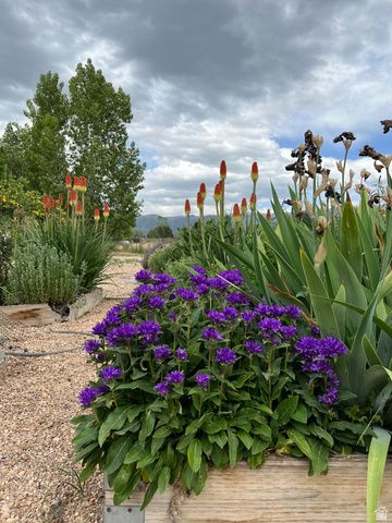 430 E 100 N, Mt Pleasant, UT 84647