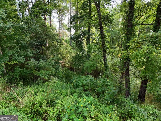 LOT 4 River Lake Estates, Blairsville, GA 30512