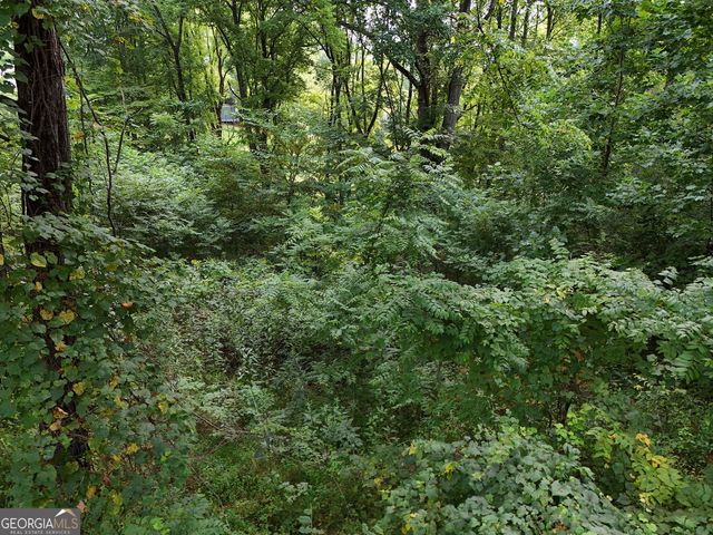 LOT 4 River Lake Estates, Blairsville, GA 30512