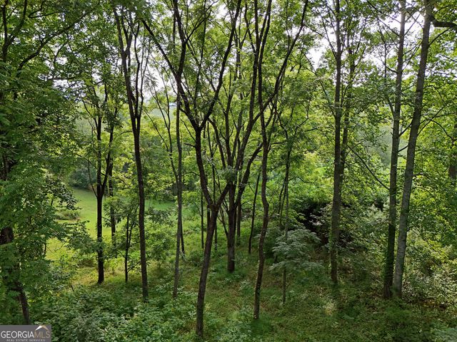 LOT 4 River Lake Estates, Blairsville, GA 30512