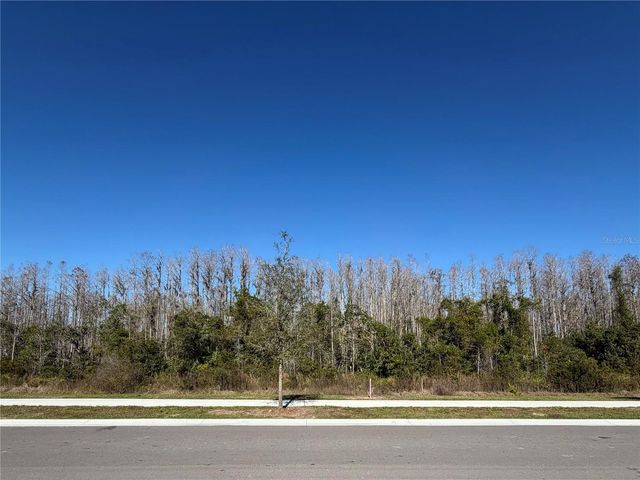 17594 PLEASANTVIEW BOULEVARD, Land O Lakes, FL 34637