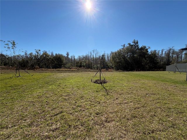 17594 PLEASANTVIEW BOULEVARD, Land O Lakes, FL 34637