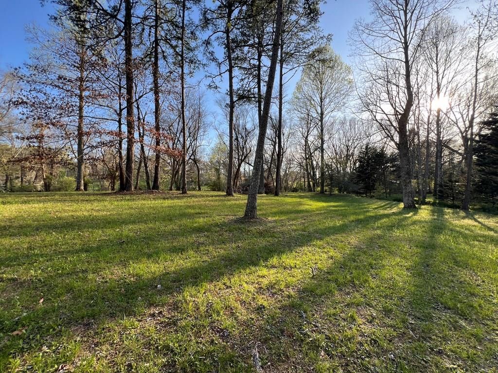 Lot 2 Preserve Road, Murphy, NC 28906