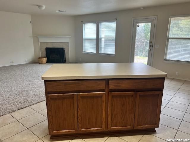 3618 ALPINE ASTER, San Antonio, TX 78259