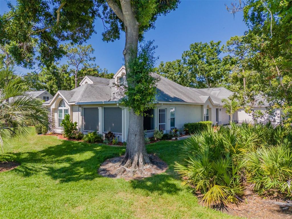 911 GOLFVIEW WOODS DRIVE, Sun City Center, FL 33573