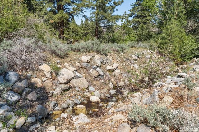 2414 Centennial Drive, Genoa, NV 89411