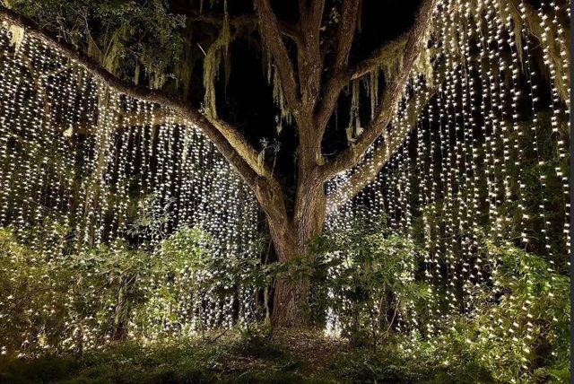 170 Westfield Circle, Conway, SC 29526