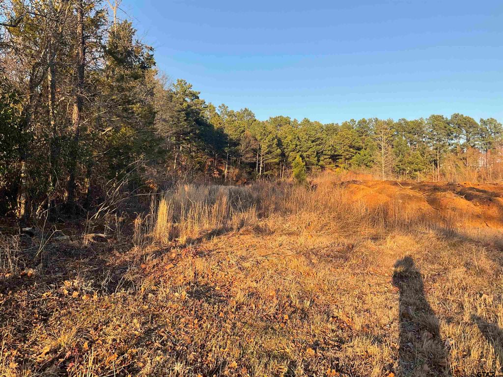 2442 Old Henderson Hwy, Tyler, TX 75702