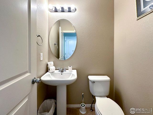 1565 Harpendon Ct, Windsor, CO 80550