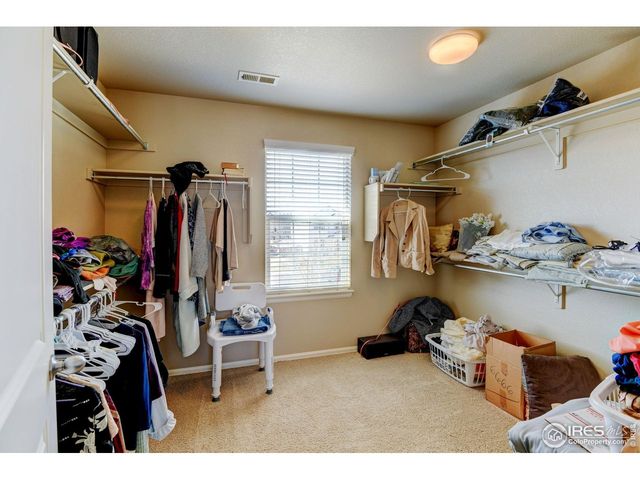 1565 Harpendon Ct, Windsor, CO 80550