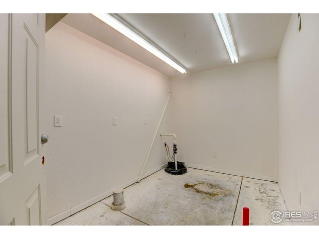 1565 Harpendon Ct, Windsor, CO 80550