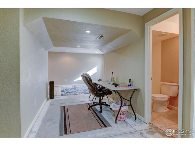 1565 Harpendon Ct, Windsor, CO 80550