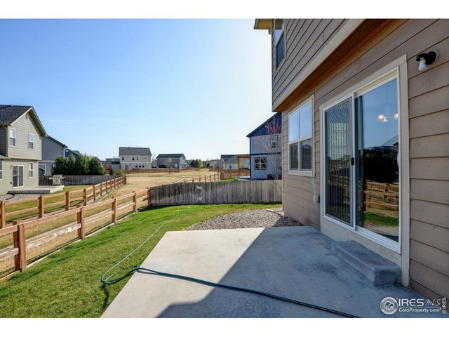 1565 Harpendon Ct, Windsor, CO 80550