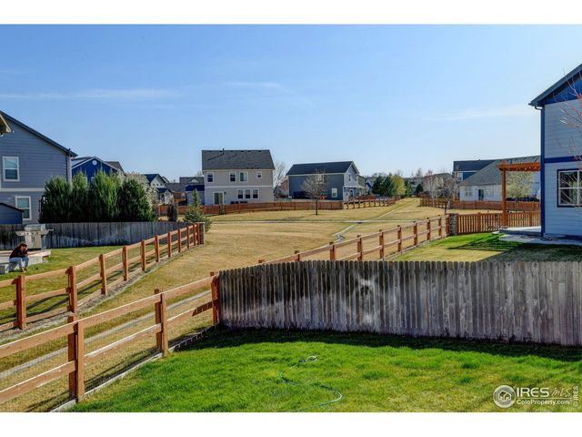 1565 Harpendon Ct, Windsor, CO 80550