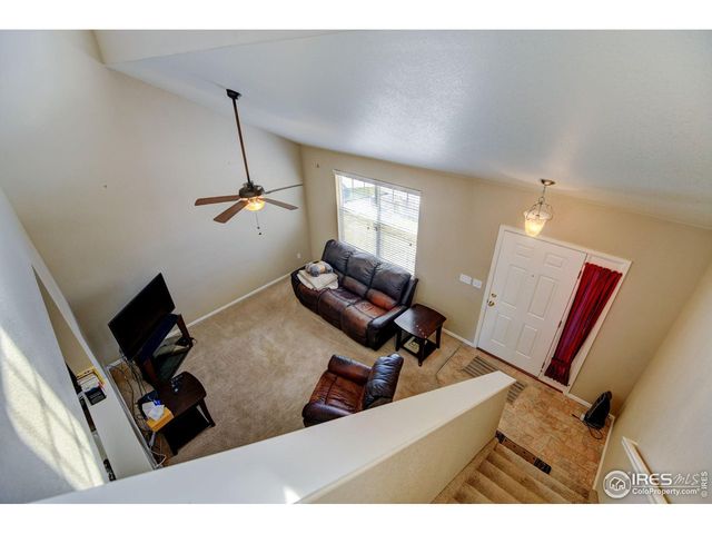 1565 Harpendon Ct, Windsor, CO 80550