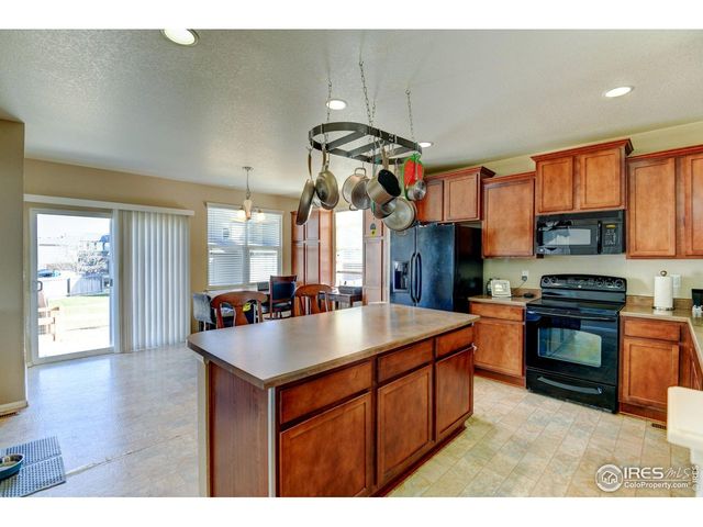 1565 Harpendon Ct, Windsor, CO 80550