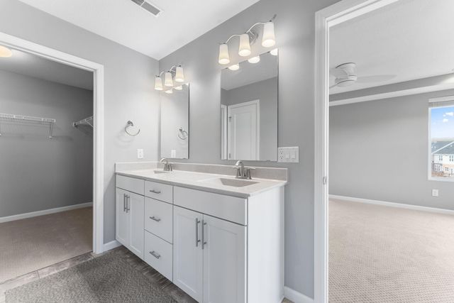 623 Satori Way, Chaska, MN 55318