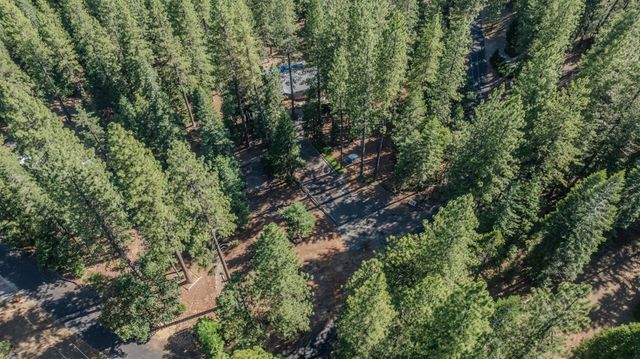 27352 Chaparral Dr, Pioneer, CA 95666