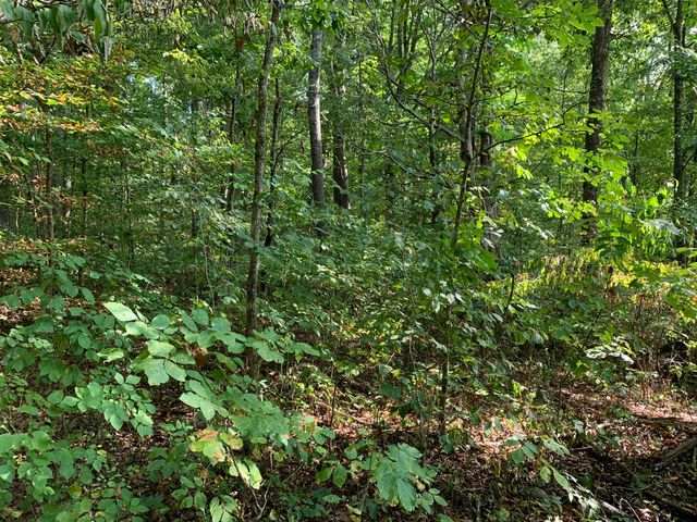 000 Glendale Road, Bybee, TN 37713