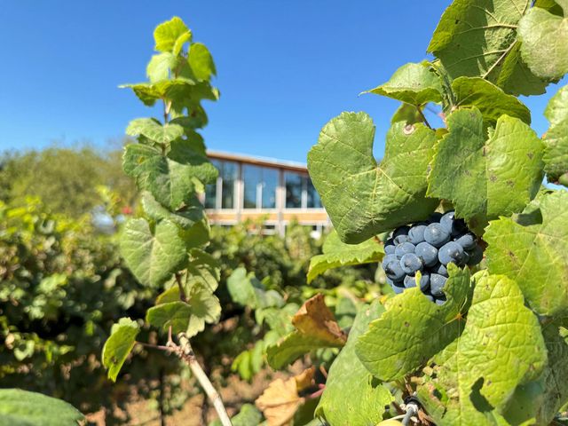 9361 W Us Highway 290 4, Hye, TX 78635