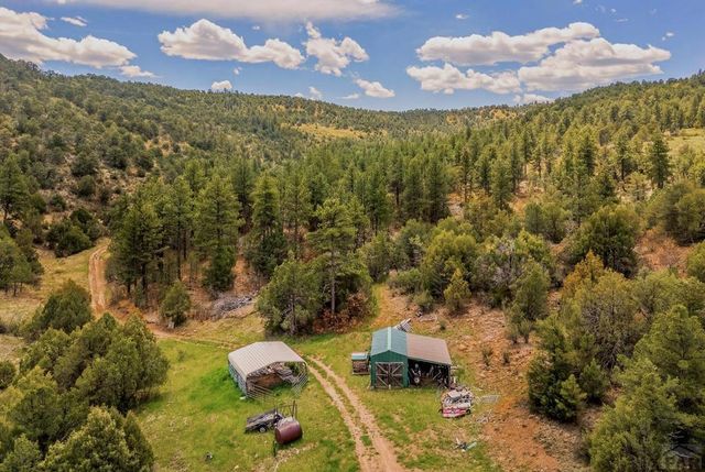 11730 Widow Woman Canyon Rd, Trinidad, CO 81082
