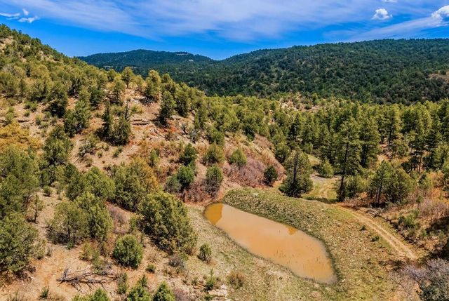 11730 Widow Woman Canyon Rd, Trinidad, CO 81082