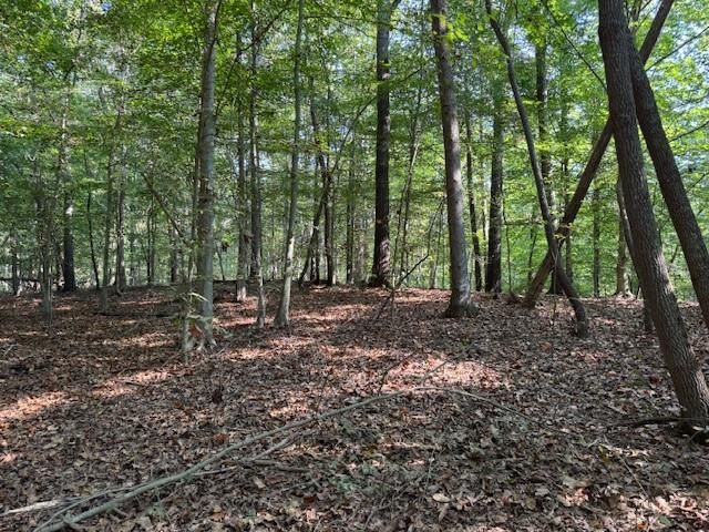 344 Jesse Martin Trail, Canton, GA 30115