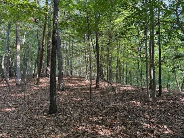 344 Jesse Martin Trail, Canton, GA 30115