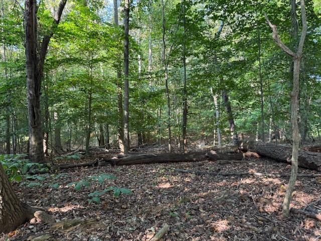 344 Jesse Martin Trail, Canton, GA 30115