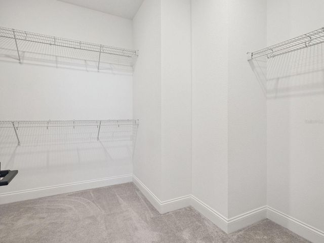 15143 BLUE PEACOCK LANE, Winter Garden, FL 34787