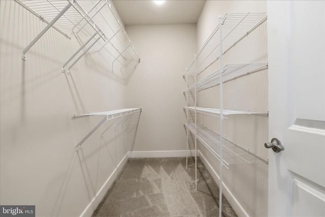 1843 MAGNOLIA FRUIT DR, Dumfries, VA 22026
