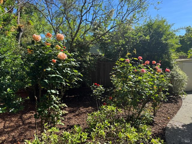 406 Corrillo Dr, San Rafael, CA 94903